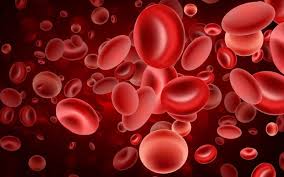Mar 05, 2020 · iron deficiency anaemia (ida) is the most common form of anaemia. Iron Deficiency Anemia Dtap Clinic