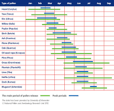 piri pollen calendar piri allergy