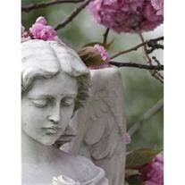 Mary Louise Hardy Obituary