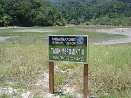 Explore tweets of jkr pulau pinang @jkrpulaupinang on twitter. Teluk Bahang Pantai Kerachut And The National Park National Parks Beautiful Islands Lake