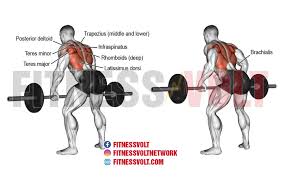 Check spelling or type a new query. Rear Delt Fly Machine Muscles Worked Off 52