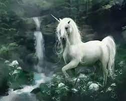 Some believe the unicorns live in the world of fairies and others say they have a world of their own with their own supreme feminine and male divine powers. What Would The Habitat Of A Unicorn Be Like Quora