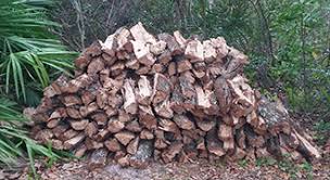 Discussion in 'the wood pile' started by dmorris, jan 2, 2017. Cheap Quality Firewood For Sale Pick Up Delivery