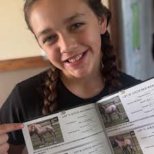 Lapke/Sachau Performance Horse Sale