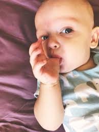 The Hungry Hounds— Haitian Ginger Cake (Bonbon Siwo), Birthdays, and a Break