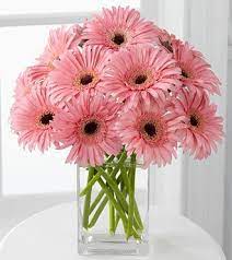 Pin On Flower Fun