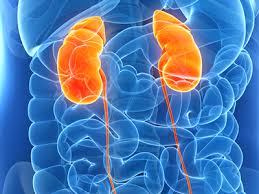 The management of patients with the advanced stage of. Kidney Disease Niddk