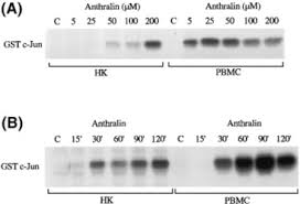 Image result for Anthralin