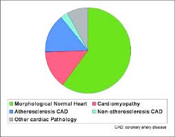 Pie Chart Showing The Causes Of Death In This Study