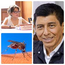 Cifra de dengue que reporta SSO representa «una mínima parte del universo  real de enfermos»: Especialistas