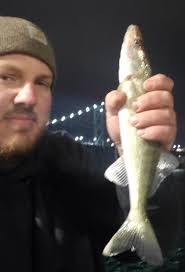Catching small walleye in Detroit River