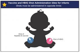 Maybe you would like to learn more about one of these? Hepatitis B Foundation Hepatitis B Vaccine Schedules