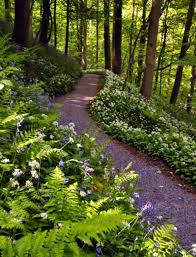 Hackfall Wood Yorkshire Countryfile Com Yorkshire Dales British Countryside Yorkshire