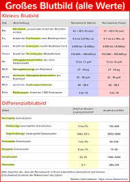 Leidet ein mensch an diabetes typ 1 produziert die bauchspeicheldrüse wenig oder kein insulin. Grosses Blutbild Optimale Werte Und Einfache Erklarungen