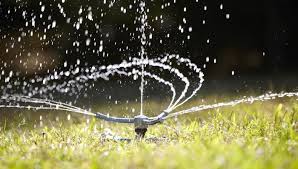 Californians have made great strides to improve indoor water efficiency; Watering Tips For Your Lawn And Garden
