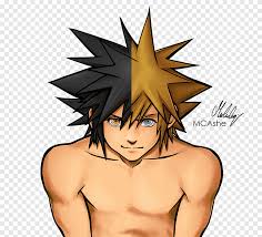 This website uses cookies to improve your experience while you navigate through the website. Kingdom Hearts Iii Drawing Sora Ventus Digital Art Black Hair Head Png Pngegg