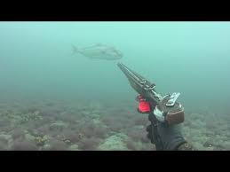 Pescasub Fuerteventura Enero Buen Comienzo Yaz