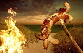 Beaches that allow bonfires near me. Does Clearwater Beach Allow Bonfires Eiko S Beach House