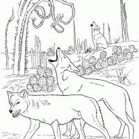 Een uil een olifant een zwaan een aap en een walvis met heel veel details. Kleurplaten Wolf Kleurplaten Kleurplaat Nl