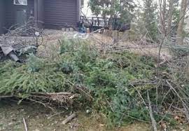 Yard Waste Removal Elkhorn Yard Waste Trees Branches Leaf Removal Service And Cost Elkhorn Ne Omaha Junk Remova Yard Waste Removal Yard Waste Waste Removal