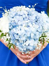 Bloomingmore provides exceptional farm direct wholesale flowers shipped right to your door. The 15 Prettiest Hydrangeas Bouquets We Ve Ever Seen