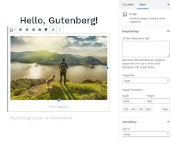 The gutenberg wordpress editor, also known as the wordpress block editor, is now part of wordpress core. How To Use Gutenberg Editor Quick Wordpress Guide