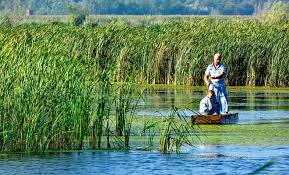 Am zis sa ma bucur de toamnă până vine iarna.la o parcul natural comana. Parcul NaÈ›ional Comana Din JudeÈ›ul Giurgiu Locuridinromania Ro