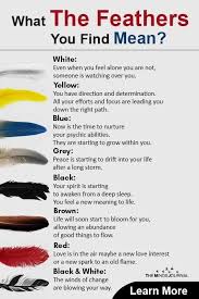 Spirit Messages From Feather What The Feathers You Find Mean In 2020 Spirit Messages Feather Meaning Finding Feathers