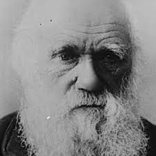 On the Origin of a Theory