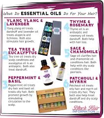 Some other natural oils for hair are presented in the next. What Do Essential Oils Do For Your Hair Bhi Postcard Tips Natural Hair Styles Essential Oils For Hair Natural Hair Care