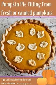 Pumpkin Pie Filling Rezept Fur Frisches Kurbispuree Oder Filling Frisches Fur Kurbispu Pumpkin Pie Recipes Fresh Pumpkin Recipes Homemade Pumpkin Pie