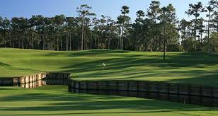 That fame is what comes along with hosting the 5th major every year with one of the top fields on the pga tour. Tpc Sawgrass Home Of The Players Championship Ponte Vedra Fl Tpc Com