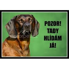 Image result for bavorský barvář