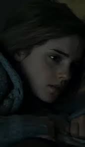 Scabior Capturing Hermione