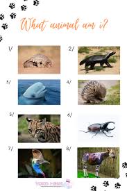 Congratulations, you are now a trivia champion. Fun Educational Animal Trivia Questions For Kids Yoko Meshi