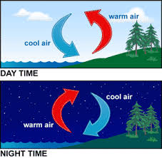 turning the air upside down activity