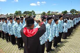 Hasil gambar untuk pns