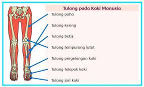 Pin Di Download