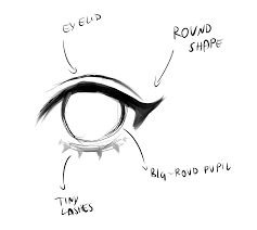 I hope you found this how to draw anime eyes tutorial helpful! Creating An Anime Eye Step By Step Using Clip Studio Paint By Akylha Clip Studio Tips