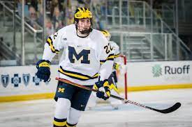 Sabres select owen power with the 1st overall pick july 23, 2021 by colby guy with the first pick of the 2021 nhl draft, the buffalo sabres have selected defenseman owen power from the university. 31oil1cw39v0tm
