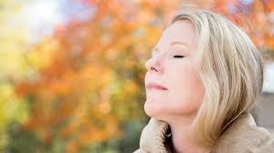 blog post ariel weiss pause to choose 2024