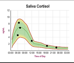 cortisol awakening response