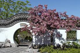 Growing, care and design tips. Flowering Crabapples Space For Life