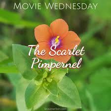 Movie reviews by reviewer type. Movie Wednesday The Scarlet Pimpernel A Brave Writer S Life In Brief