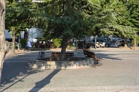 Αποκέντρωση λάρισα τηλέφωνο, άγγελος λάρισα τηλέφωνο, to eat πλατεία ταχυδρομείου τηλέφωνο, pizza fan λάρισα τηλέφωνο, μαλλιώρας λάρισα τηλέφωνο, pizza mageia λάρισα τηλέφωνο, παρά 5 λάρισα τηλέφωνο, ελιξήριο λάρισα τηλέφωνο, αγγελος λαρισα, to eat ηρώων πολυτεχνείου τηλέφωνο. Larisa Kai H Plateia Akoma Krataei Fwtoreportaz Thenewspaper Gr