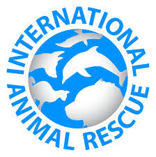 Download International Animal Rescue
