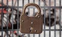 Scopri ricette, idee per la casa, consigli di stile e altre idee da provare. Escape Games Escaping From A Room A Prison A Car Play Online At Gamesgames Com
