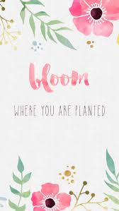 See more ideas about phone wallpaper, wallpaper, cellphone wallpaper. 27 Free Phone Backgrounds For Anyone Who Needs A Little Pep Talk