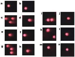 Natural Drugs In Dna Repair Intechopen