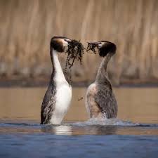 Your pictures of Scotland 26 March